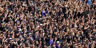 Image of Tcu Horned Frogs Football In Stanford