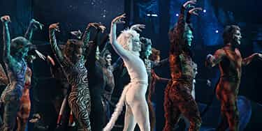 Image of Cats The Musical In Aurora