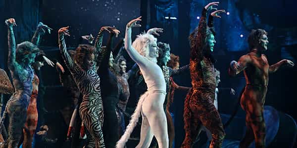 Image of Cats The Musical In Aurora