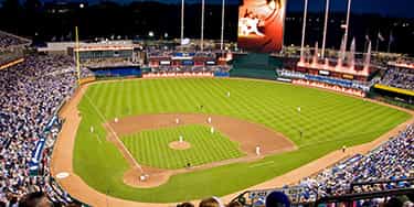 Image of Kansas City Royals In Tampa