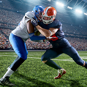 Image of Edmonton Elks