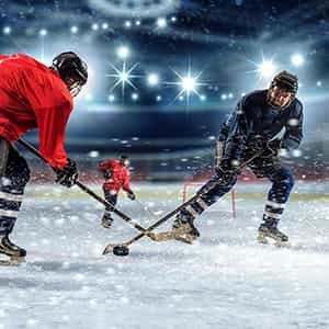 Image of Elmira Aviators In Johnstown