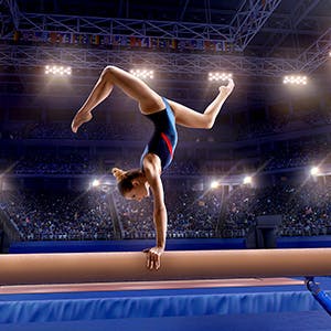 Image of Ncaa Mens Gymnastics Championships